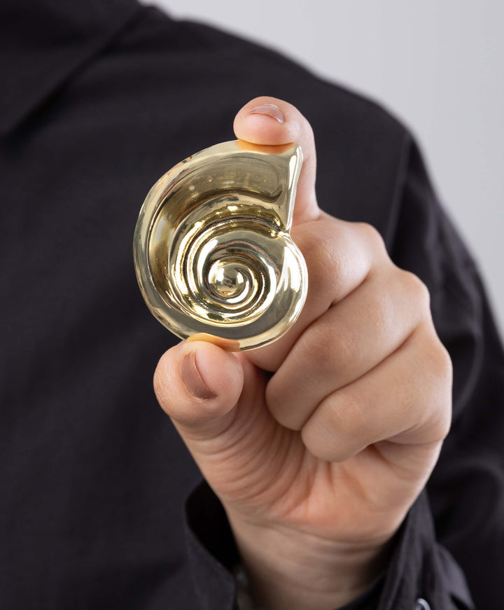 Nautilus Brooch