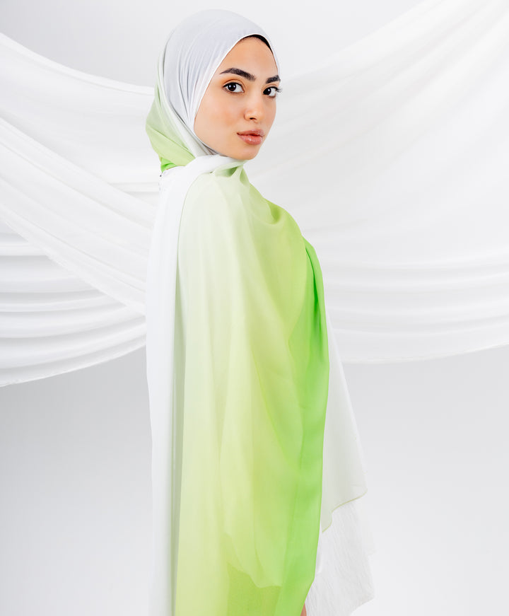 Gradient Chiffon Scarf