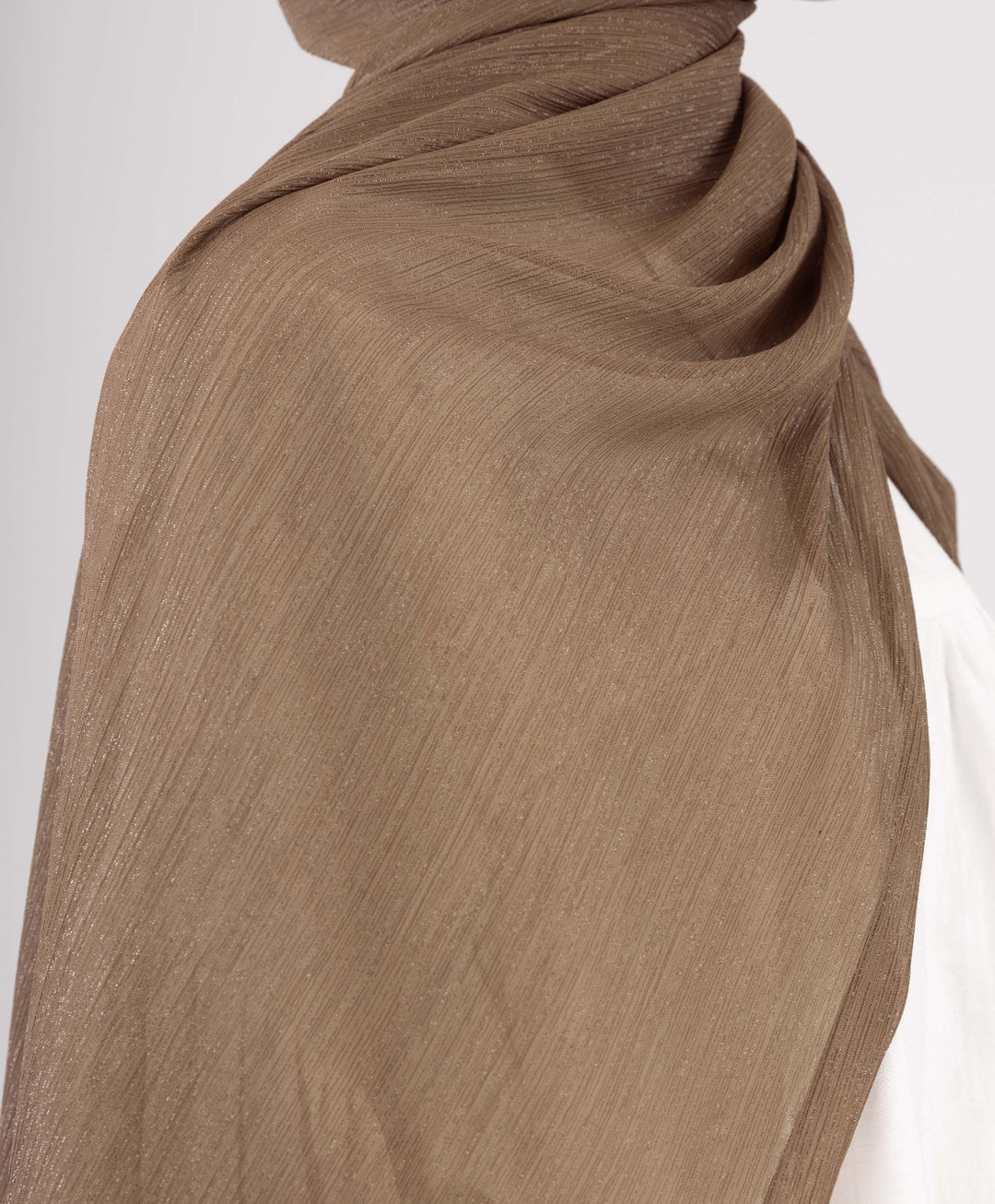 Glittery Chiffon Scarf
