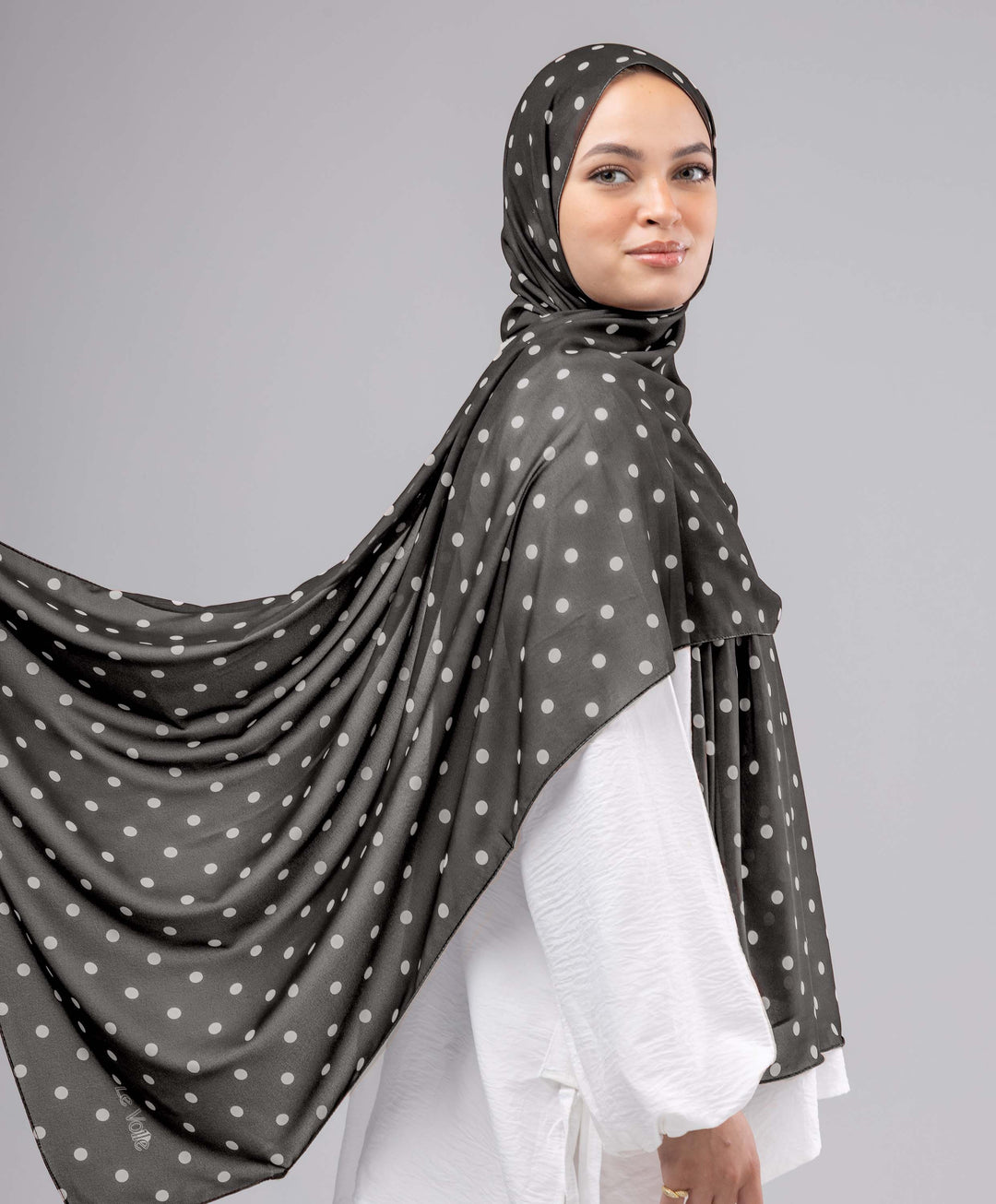 Classic Dots Chiffon Scarf